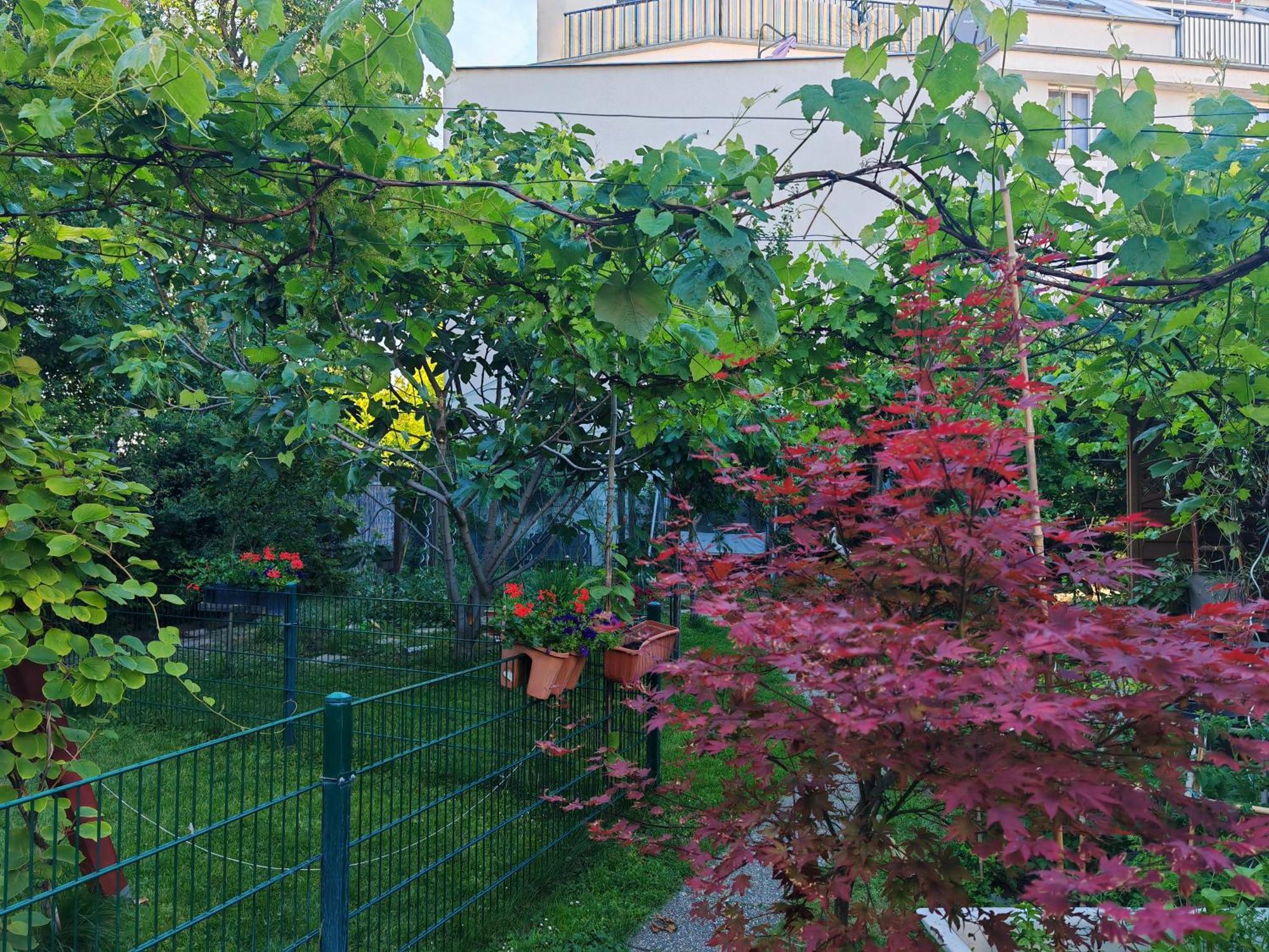 Leopoldauer Apartment Vienna Exterior photo